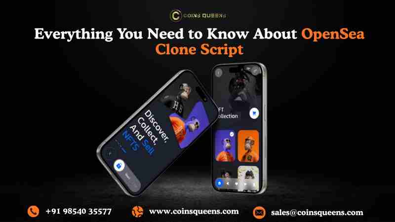 Everything You Need to Know About OpenSea Clone Script