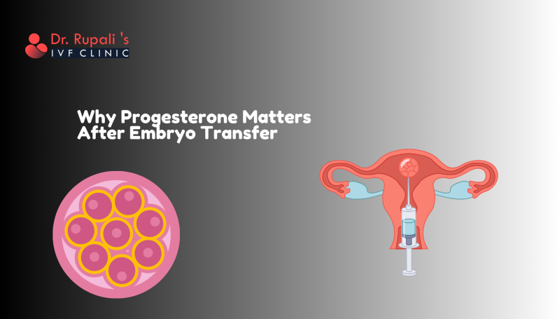 Why Progesterone Matters After Embryo Transfer
